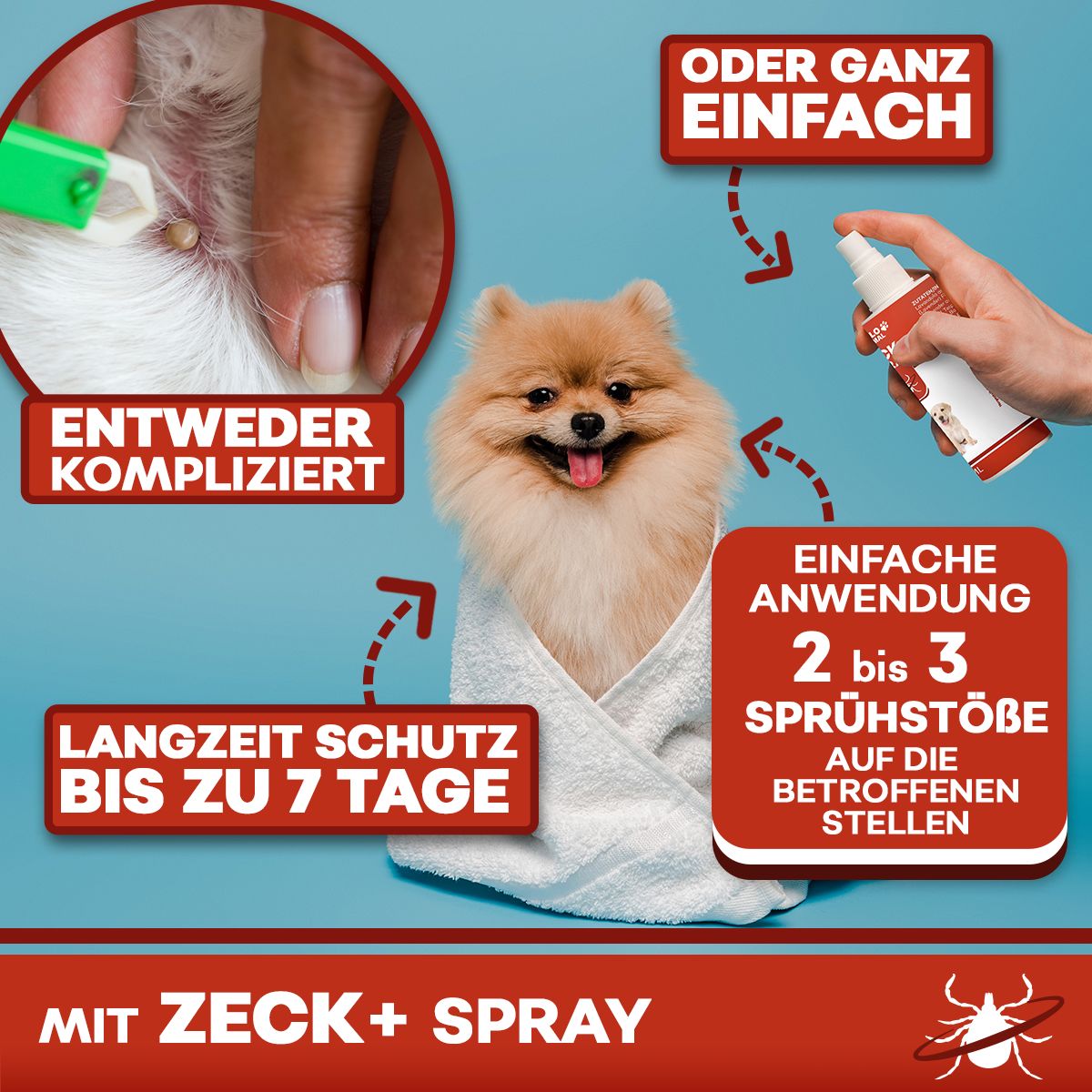 Szene mit Hund und Sprühflasche. Weiße Sprühflasche mit rotem Etikett. Aufschrift: Zeck+ Spray. Text: Einfache Anwendung, 2-3 Sprühstöße.