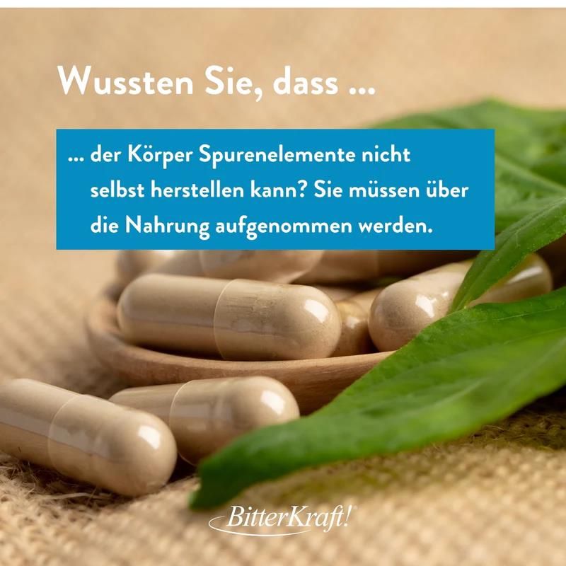Kapseln auf Holzschale, umgeben von Blättern. Text: Der Körper kann Spurenelemente nicht selbst herstellen. Sie müssen aufgenommen werden.
