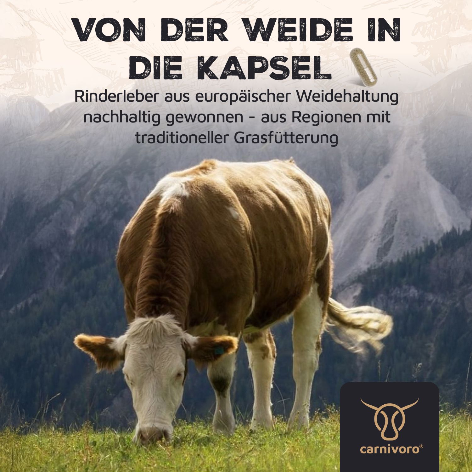 Carnivoro® Grass Fed Beef Liver