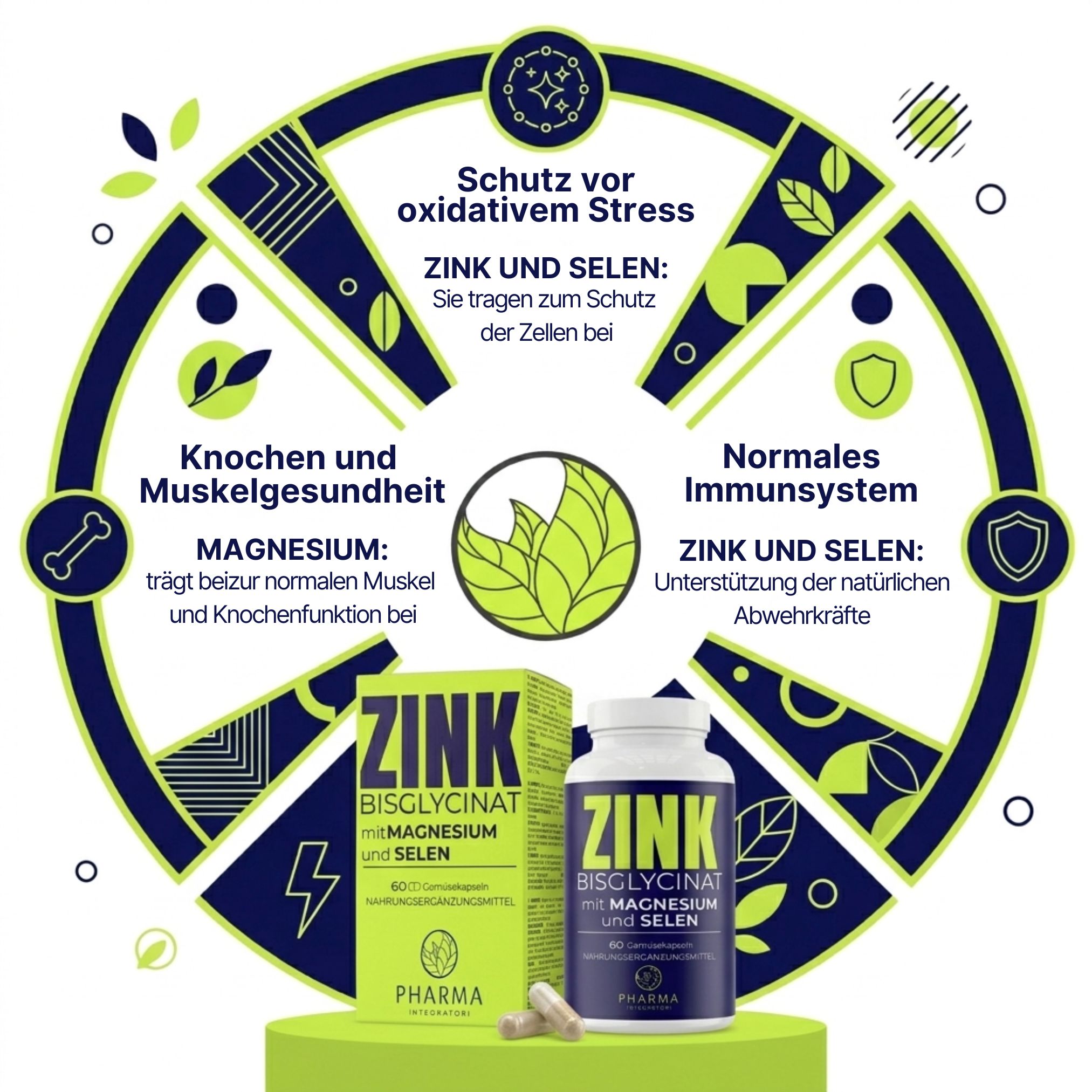 Grafik zu Zink Bisglycinat: Schutz vor oxidativem Stress, Knochen- und Muskelgesundheit, Immunsystem.