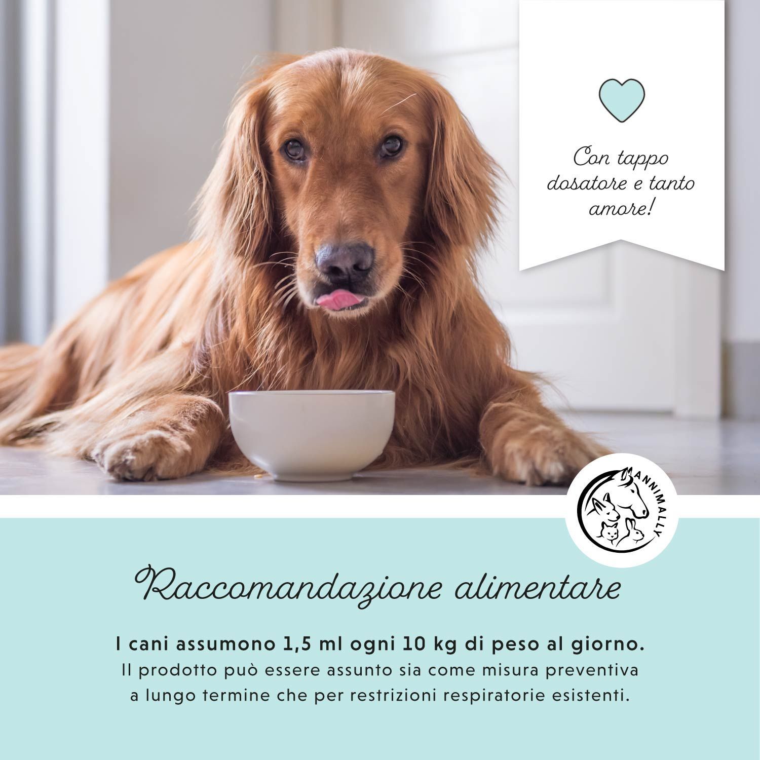 Goldener Retriever mit einer Schüssel. Text: Fütterungsempfehlung. Logo und Text in italienischer Sprache.
