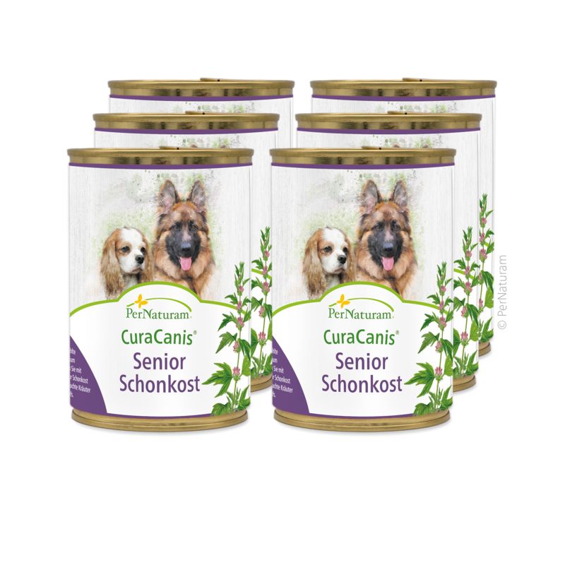 Sechs Dosen CuraCanis Senior Schonkost. Etikett mit Hundeabbildung. Text: PerNaturam, CuraCanis, Senior Schonkost. Violette und grüne Elemente.