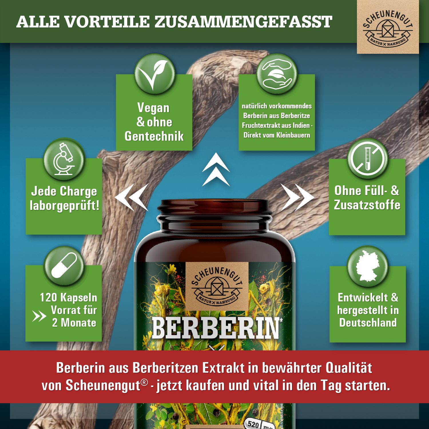 Produktabbildung mit Vorteilen. Berberin-Kapseln. Aufschrift: Berberin, optimiert mit Piperin und Chrom. 120 Kapseln. Vegan, ohne Gentechnik.