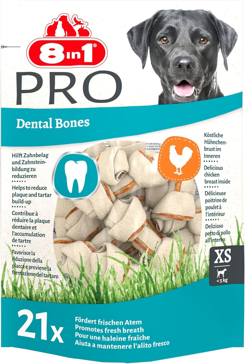 8in1 Pro Dental Knochen XS
