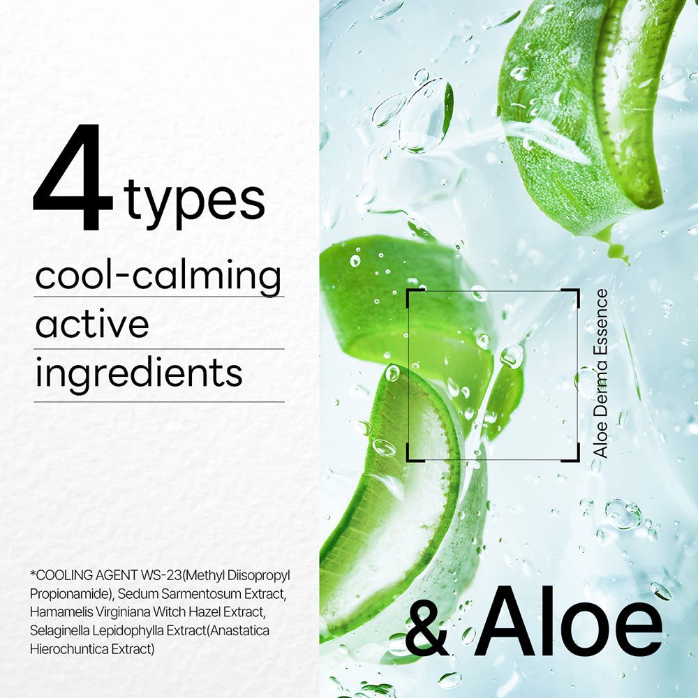 Aloe-Blätter und Text mit "4 types cool-calming active ingredients".