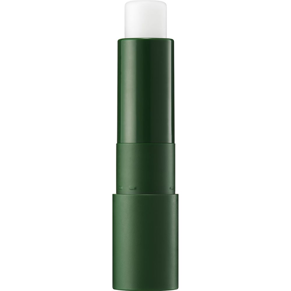 SKINFOOD Avocado Stick Lip balm