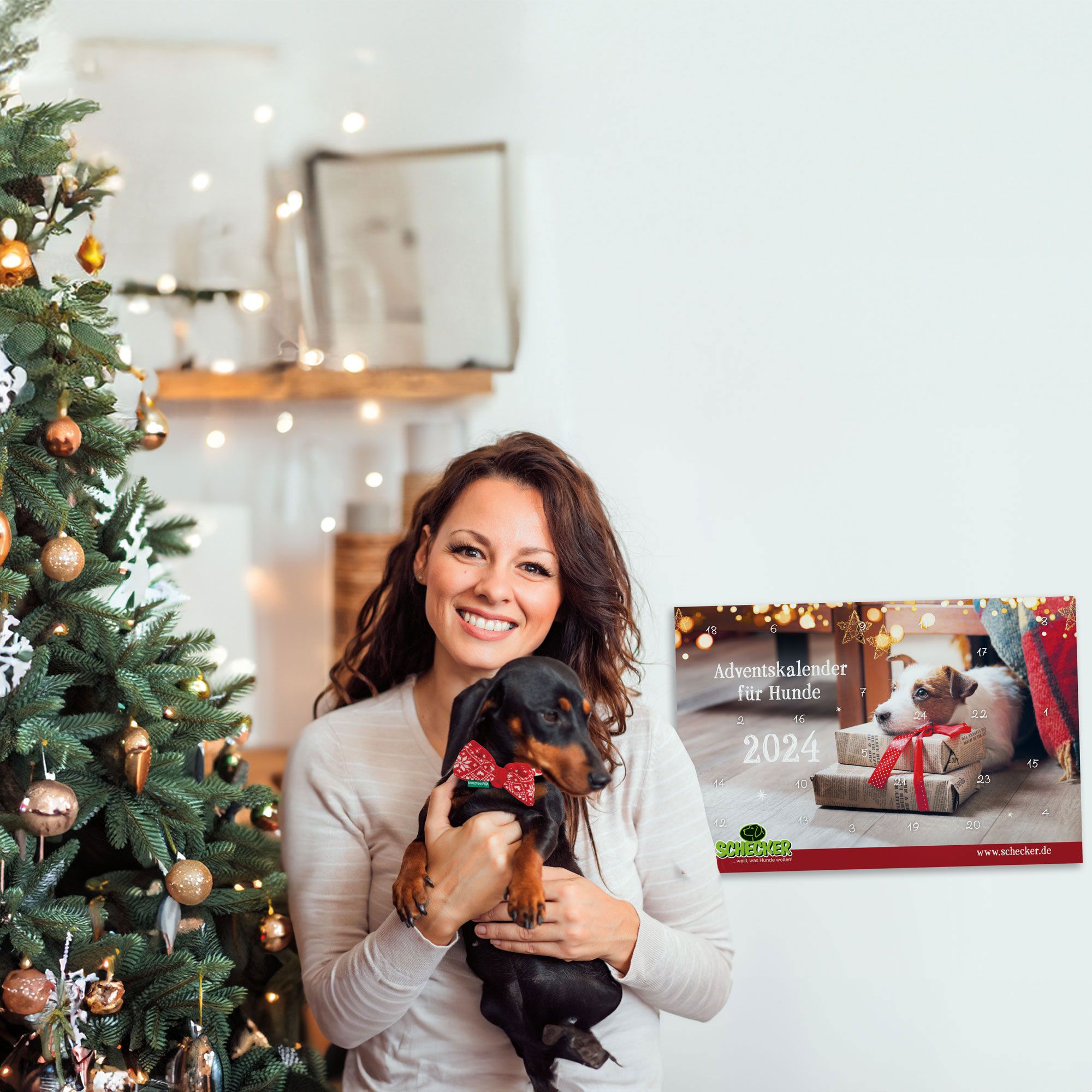 Schecker Adventskalender für Hunde