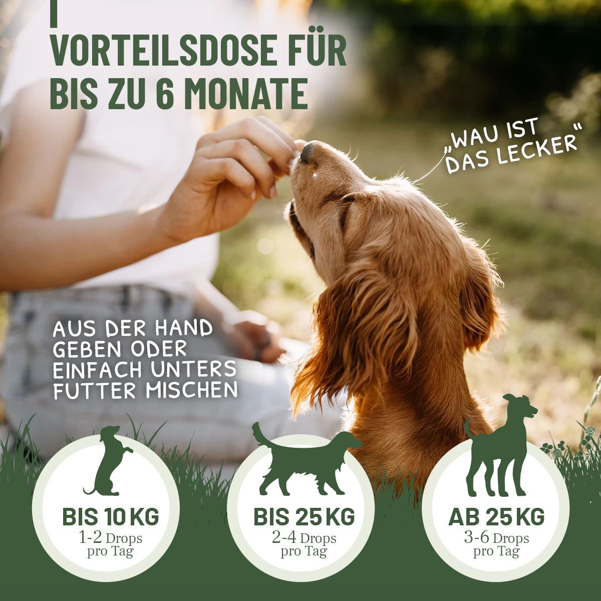 Hund bekommt Leckerli. Text: Vorteilspackung für bis zu 6 Monate. Aus der Hand geben oder unter Futter mischen. Dosierung.
