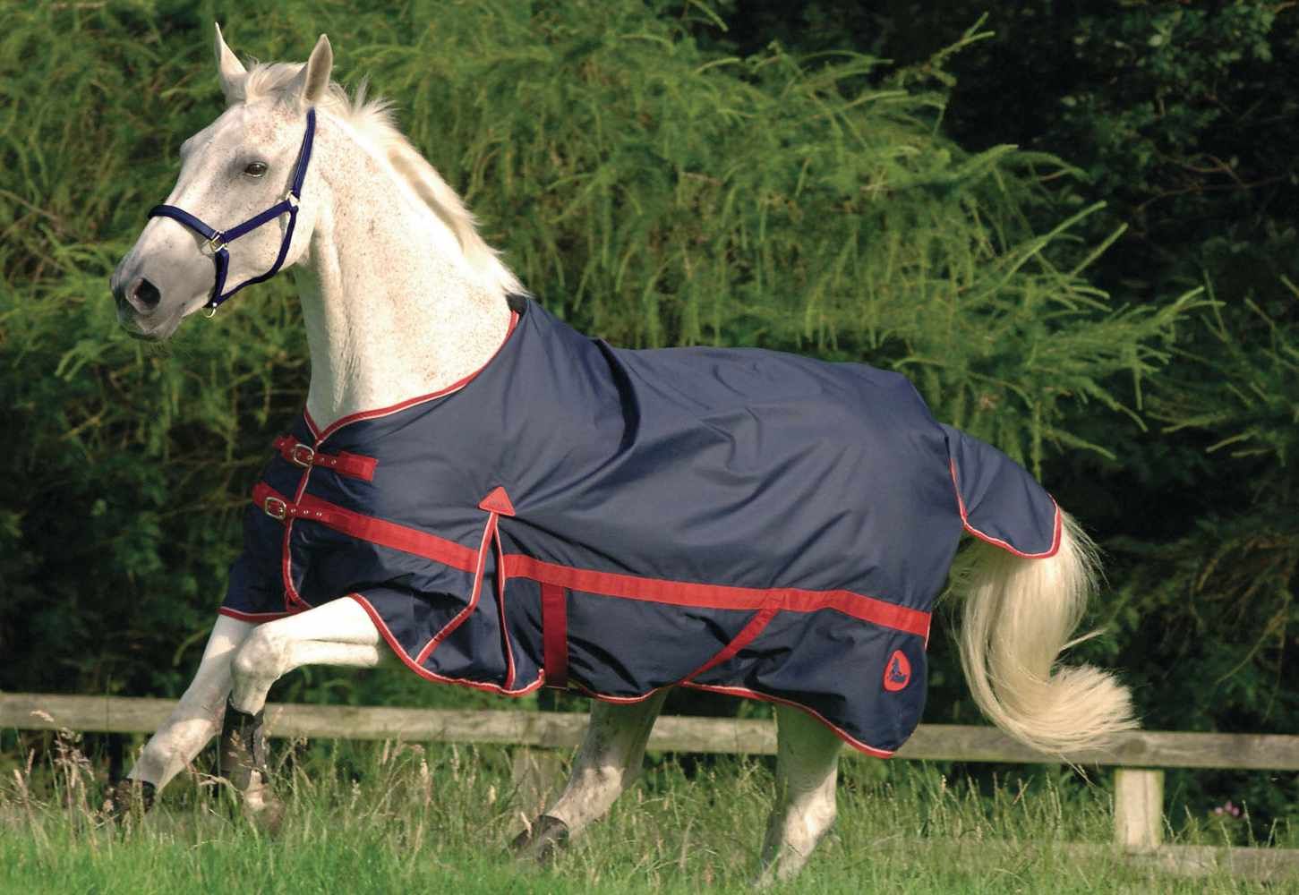 MASTA Regendecke Zing Turnout Two Tone light