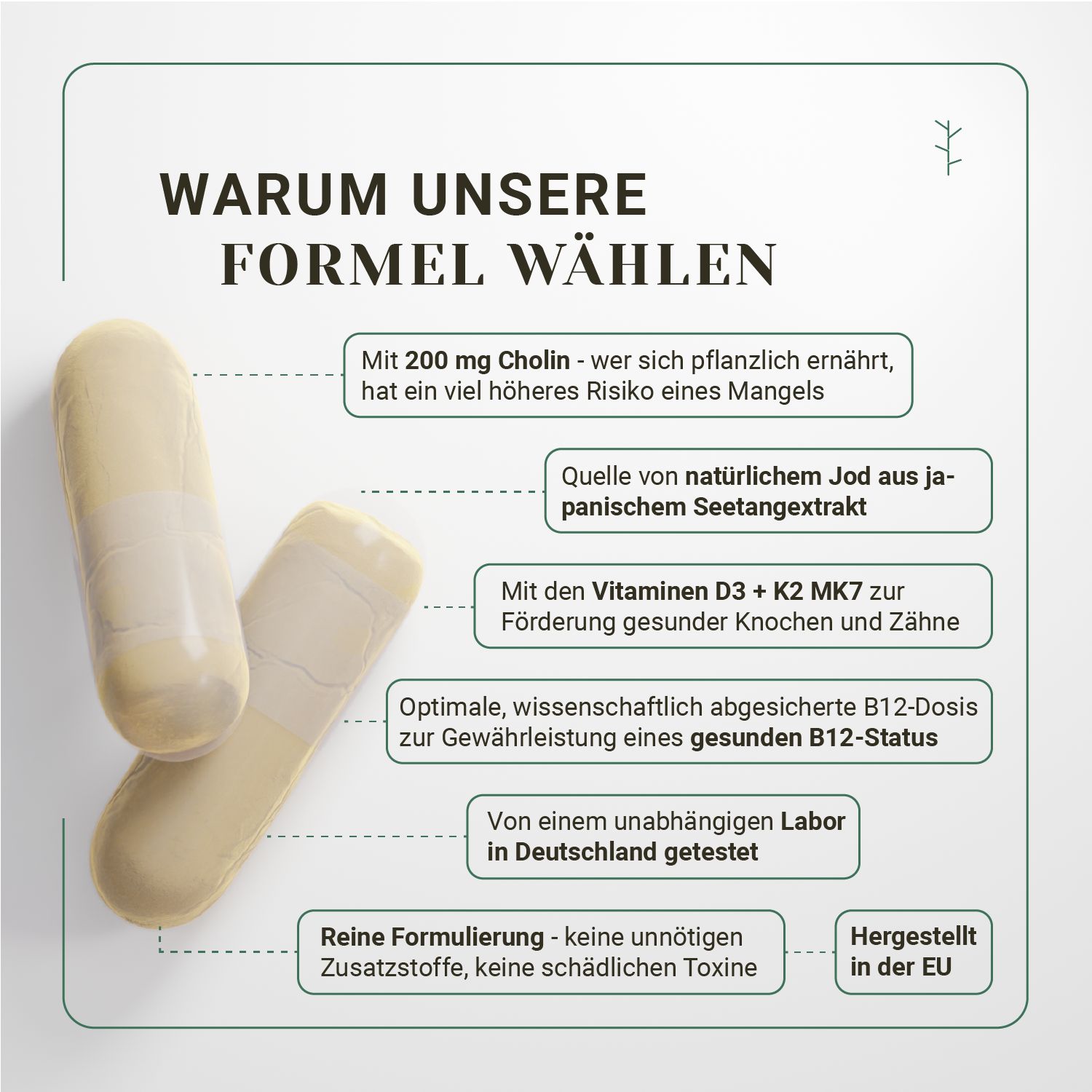 Zwei gelbe Kapseln. Text: Warum unsere Formel wählen, Cholin, Jod, Vitamin D3 + K2, B12-Dosis, Labor getestet.