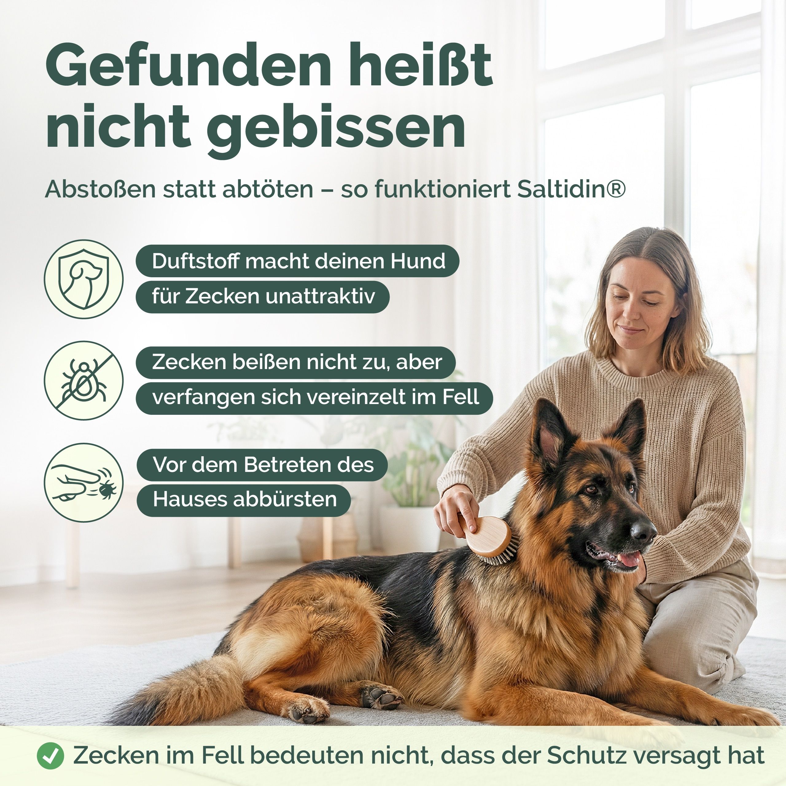 Frau bürstet Hund. Text: Abstoßen statt abtöten - so funktioniert Saltidin. Zitat: Zecken beißen nicht zu, verfangen sich im Fell. Vor dem Haus abbürsten.