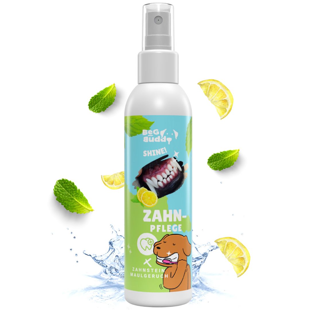 BeG Buddy Zahn weiß Dental Spray, Zahnpflege Hund