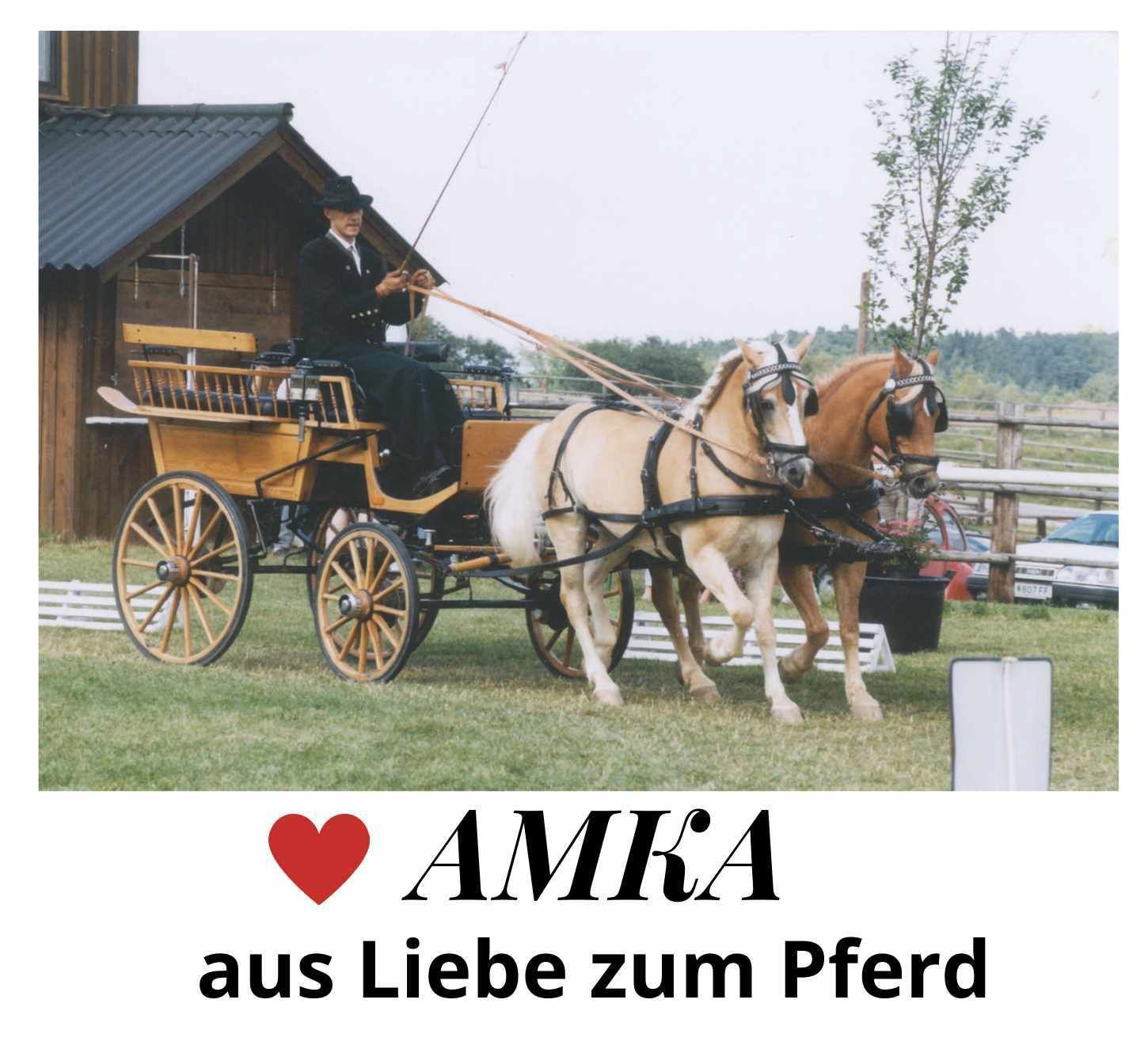 Zwei Pferde ziehen eine Kutsche. Person steuert die Kutsche. Text: AMKA aus Liebe zum Pferd.