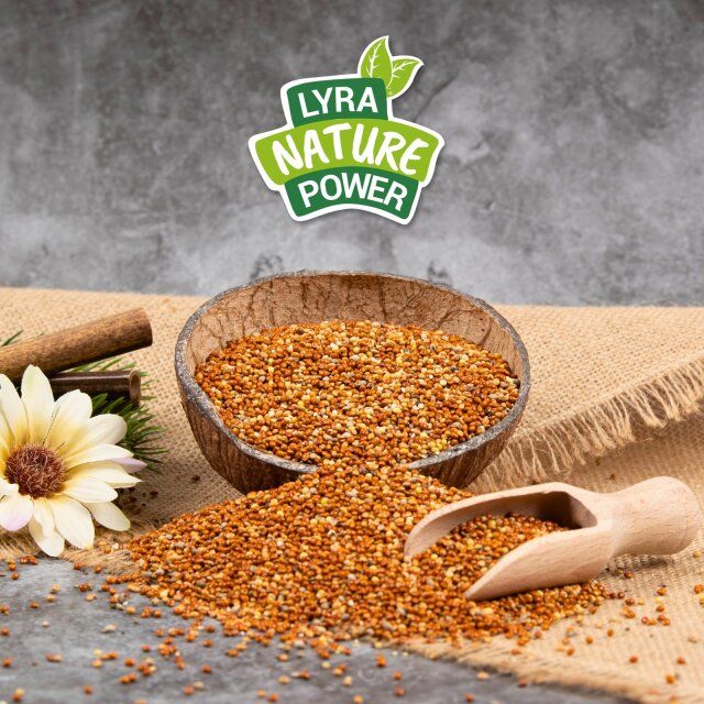 Hirse rot lose in Kokosnussschale und auf Untergrund. Logo: Lyra Nature Power.
