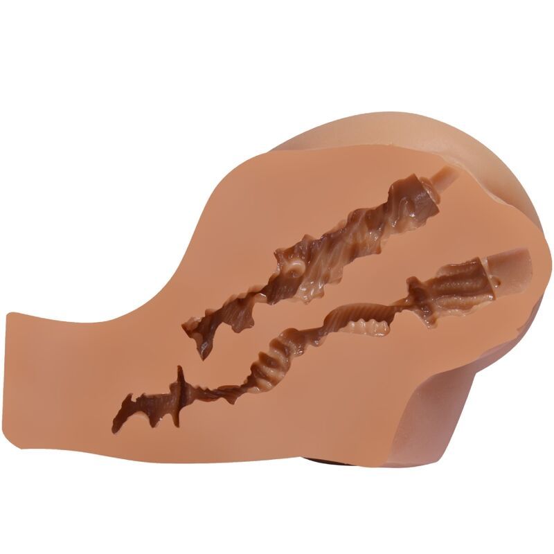 Hautfarbenes, anatomisch geformtes Objekt mit zwei gewundenen Kanälen im Inneren.
