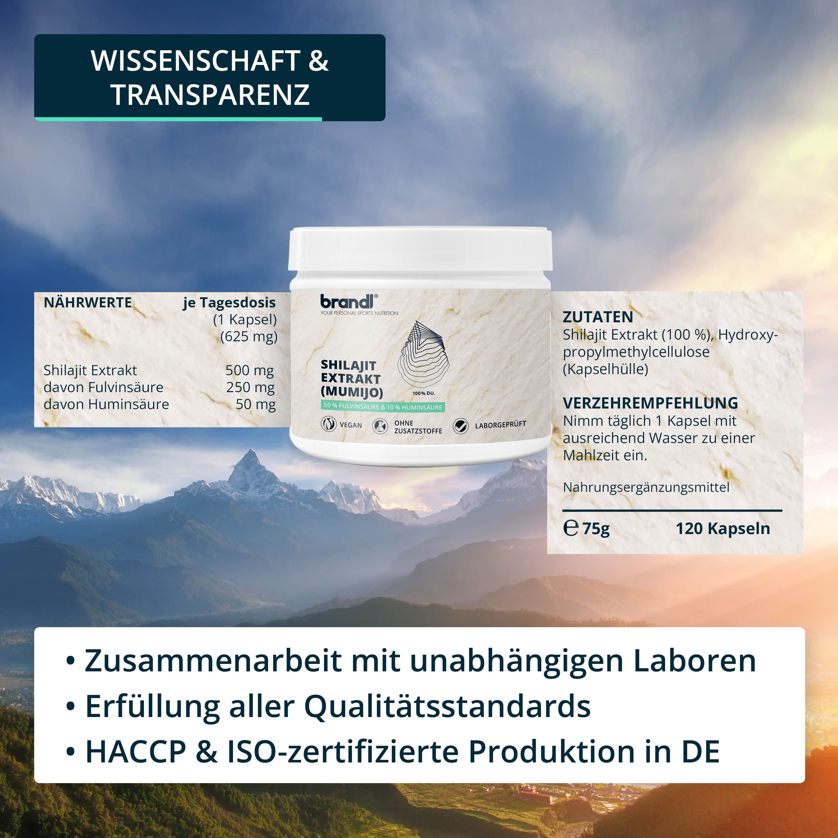 brandl® Shilajit Kapseln Extrakt mit Fulvinsäure und Huminsäure