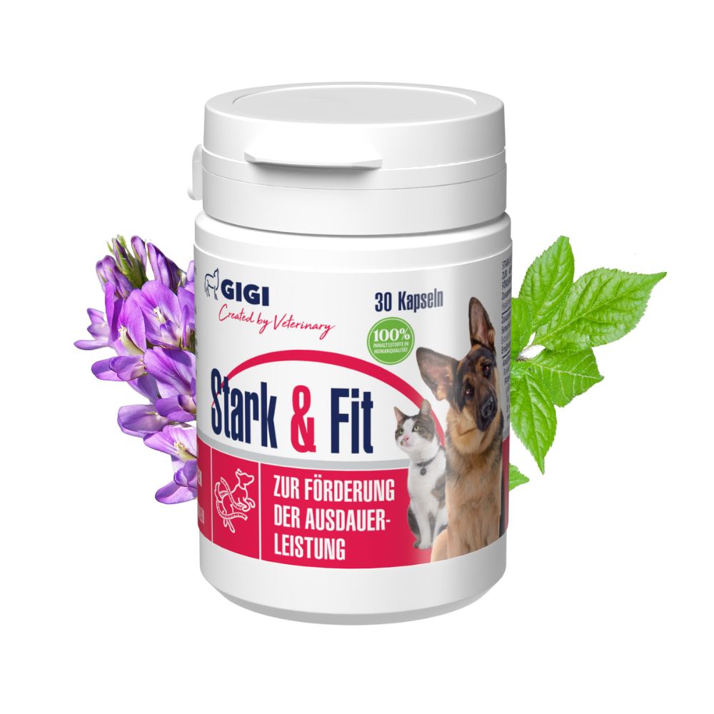 Weiße Dose mit "Stark & Fit"-Aufschrift. 30 Kapseln. Abbildung von Hund und Katze. "Zur Förderung der Ausdauerleistung".