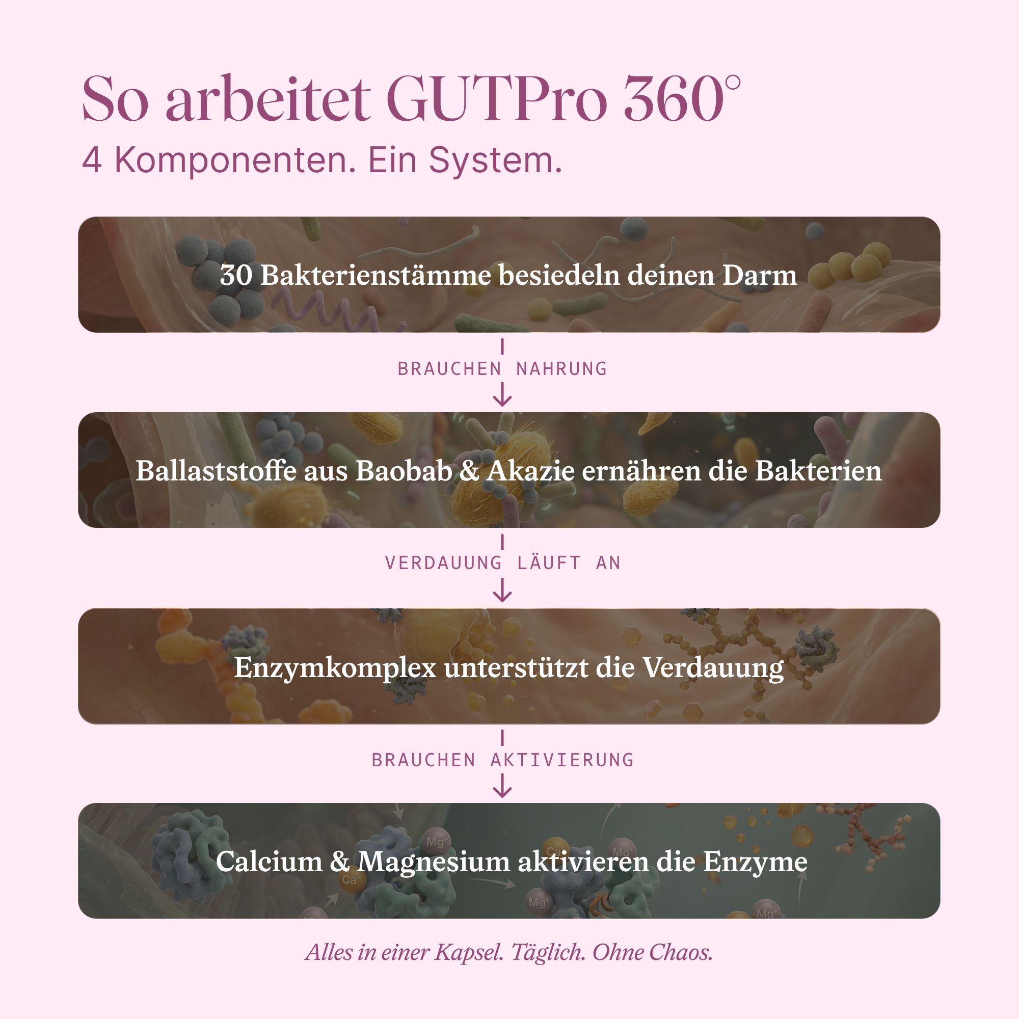 Schema zur Funktionsweise von GutPro 360°: 4 Komponenten, 1 System.