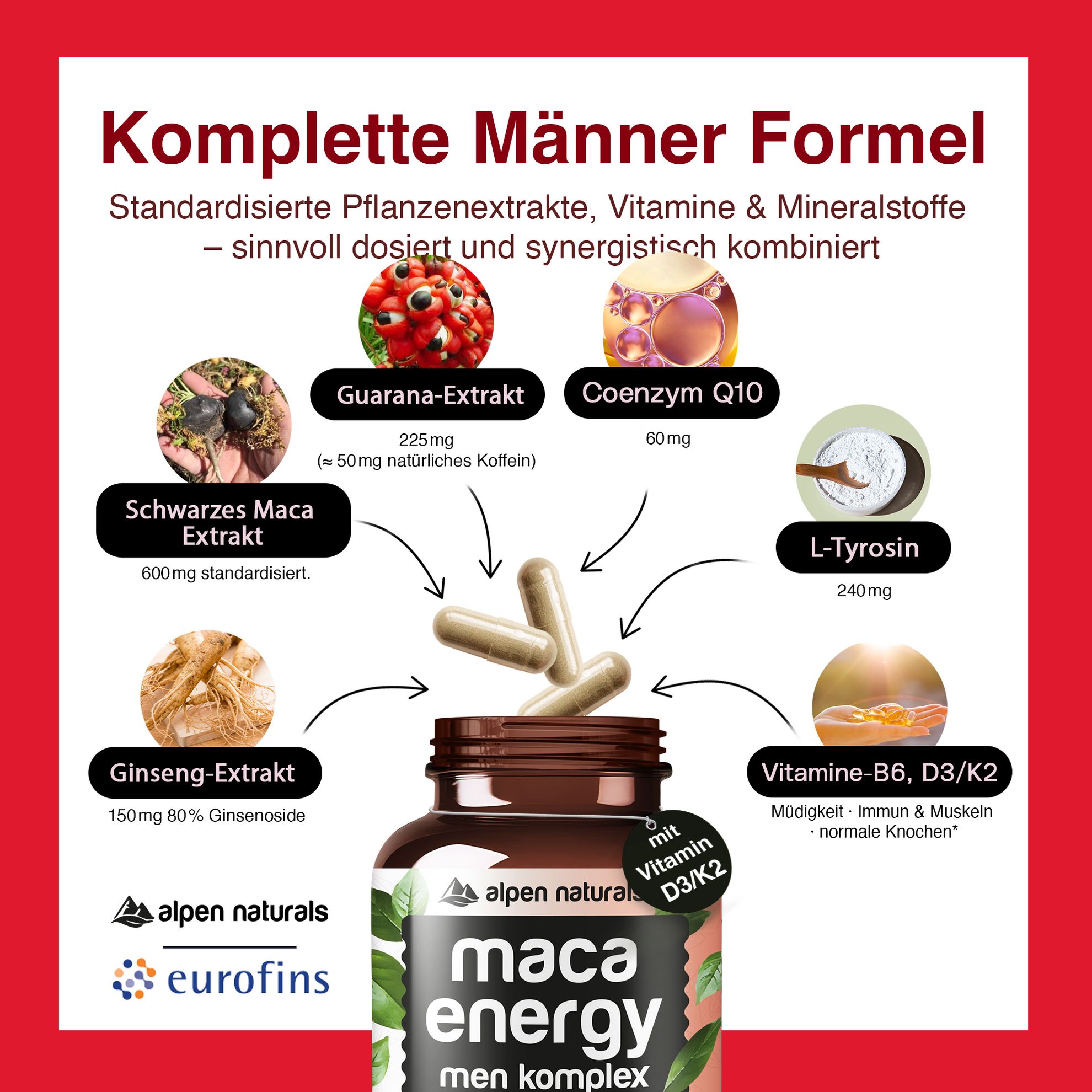 Grafik mit Inhaltsstoffen. Schwarzes Maca Extrakt, Guarana, Coenzym Q10, L-Tyrosin, Ginseng, Vitamin B6, D3/K2. Kapseln.
