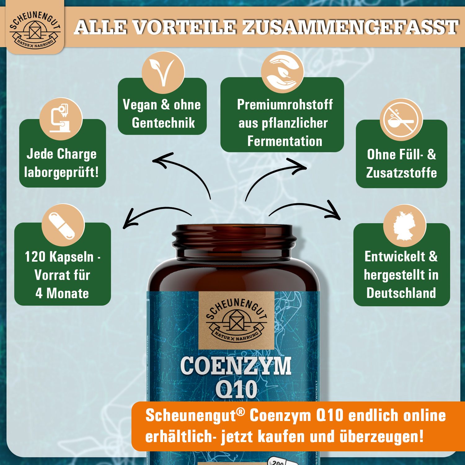 Scheunengut® Coenzym Q10 | pflanzlicher Rohstoff aus Fermentation | 200mg pro Kapsel