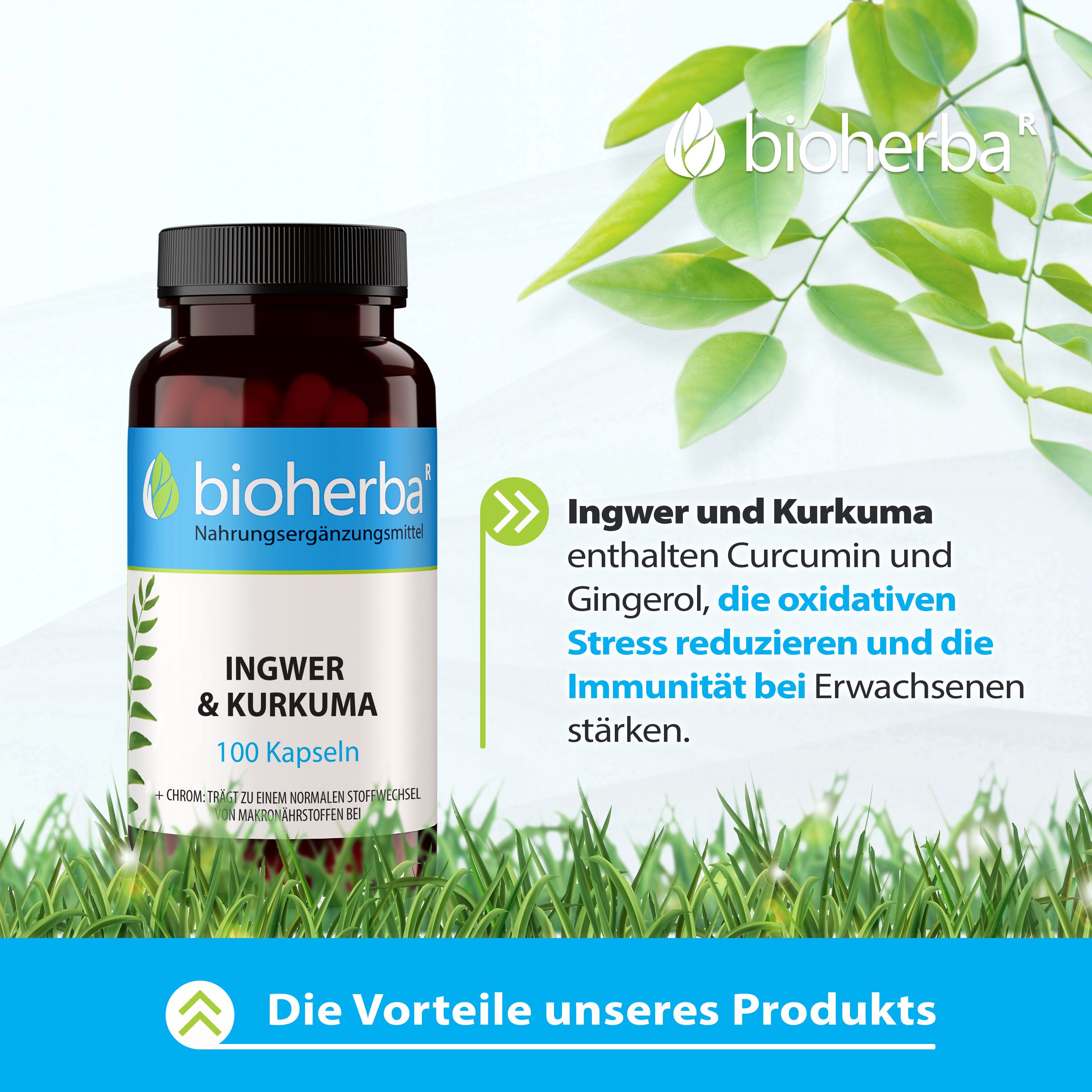 Braune Flasche mit schwarzen Deckel. Aufschrift: Ingwer & Kurkuma, 100 Kapseln. Marke: bioherba. Vorteile: Ingwer und Kurkuma.