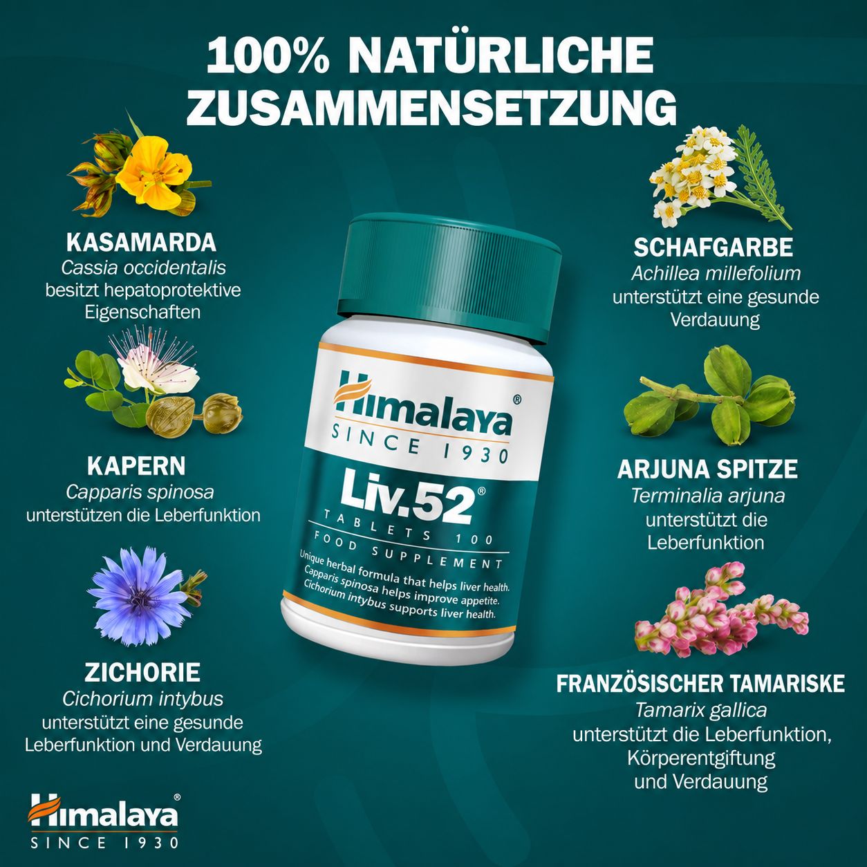 Himalaya Liv.52 Tabletten Flasche mit Abbildungen von Kasamarda, Schafgarbe, Kapern, Arjuna und Zichorie.