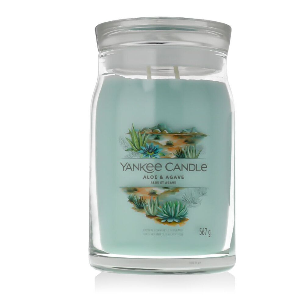 Glas-Duftkerze mit Deckel. Hellgrünes Wachs mit zwei Dochten. Aufschrift: Yankee Candle Aloe & Agave. 567g.