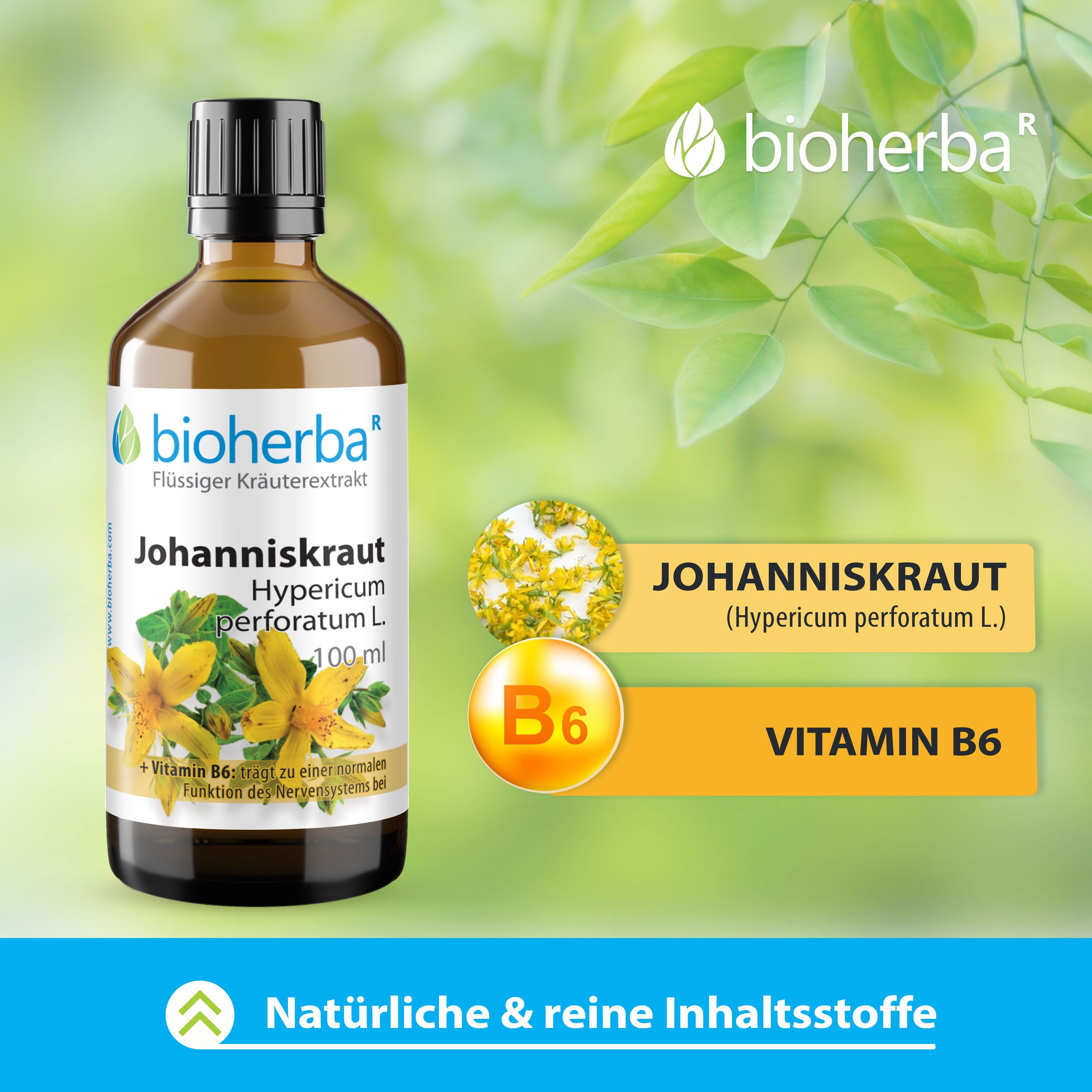 Braune Glasflasche mit schwarzem Deckel. Bioherba Johanniskraut Tropfen Tinktur. Etikett mit Produktnamen und Illustrationen.