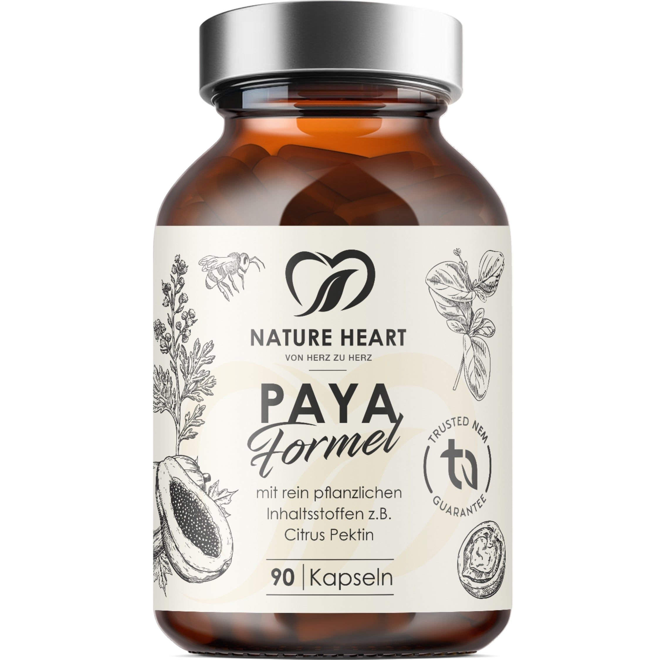 Nature Heart Paya Formel Kapseln in Braunglasflasche mit silbernem Deckel, 90 Kapseln.
