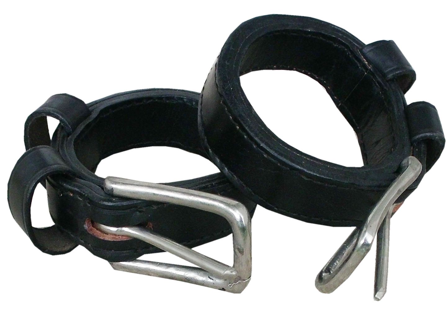 Pferdegespann mit AMKA-Logo. Zwei Pferde vor einer Kutsche. Person im Wagen.