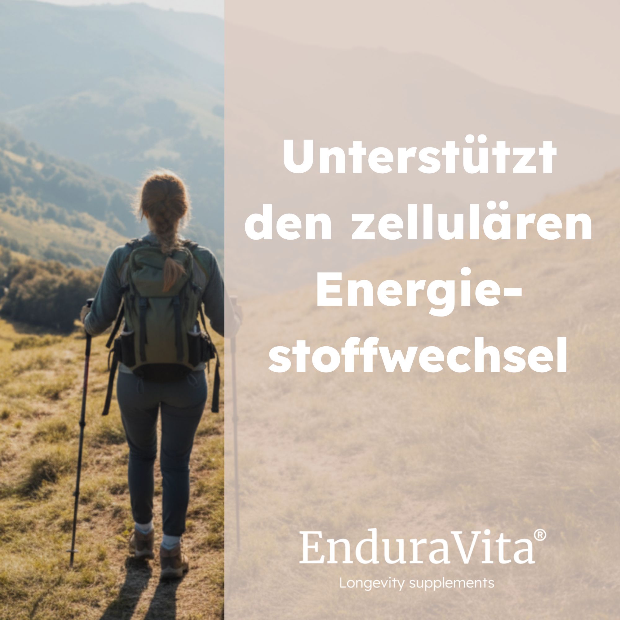 EnduraVita Ca-AKG Kapseln
