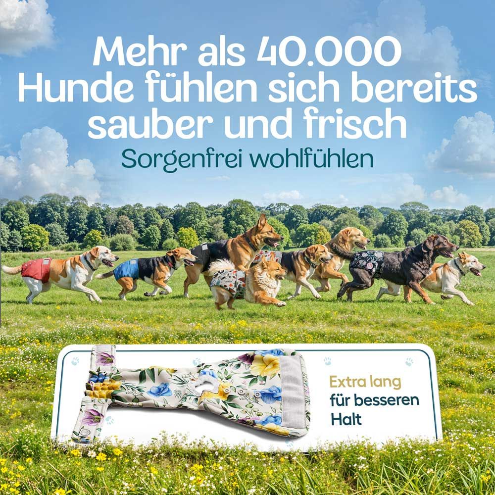 Mehrere Hunde auf einer Wiese mit Windeln. Text: Mehr als 40.000 Hunde fühlen sich sauber und frisch.