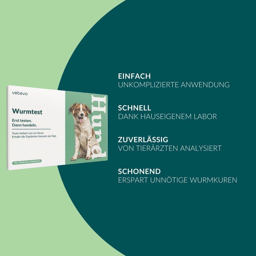 Wurmtest Basic Hund: Einfach, schnell, zuverlässig, schonend. Von Tierärzten empfohlen.