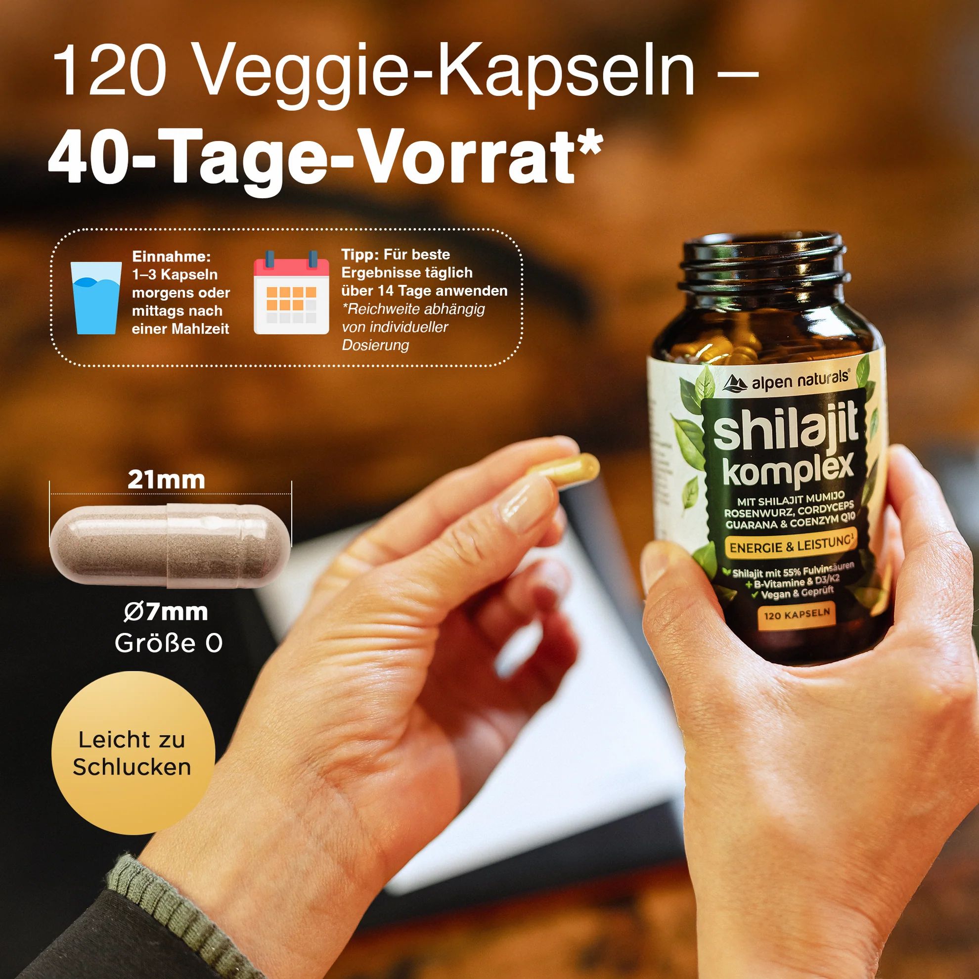 Alpen Naturals Shilajit Mumijo Komplex