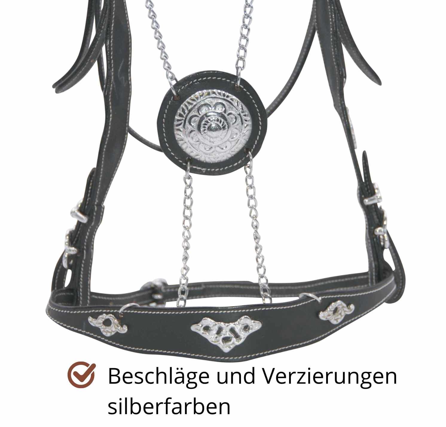 Nahaufnahme einer schwarzen Trense mit silberfarbenen Beschlägen und Verzierungen. Text: Beschläge und Verzierungen silberfarben.