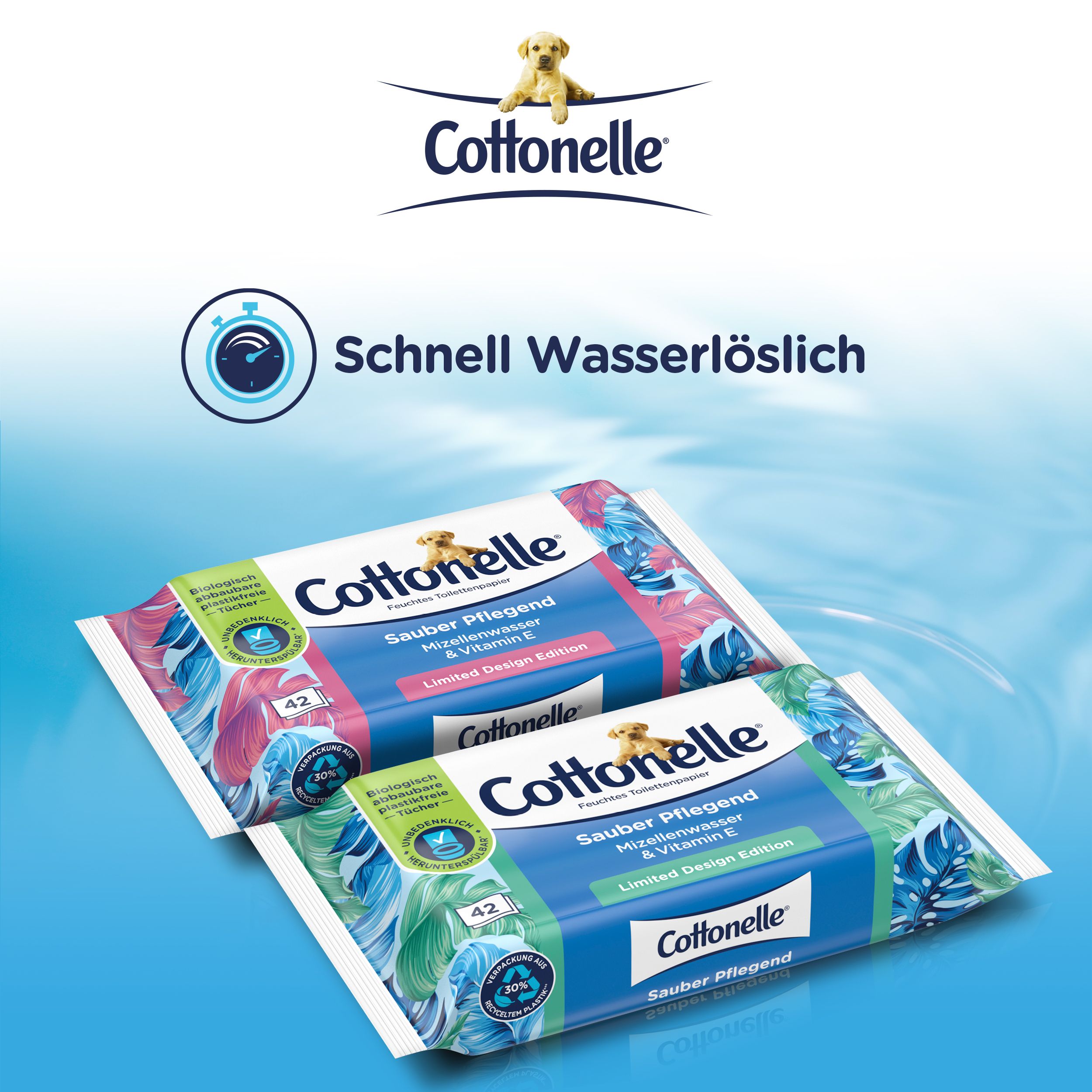 Zwei Packungen Cottonelle Feuchtes Toilettenpapier. Aufdruck: Sauber Pflegend, Mizellenwasser & Vitamin E, Limited Design Edition. 42 Tücher.