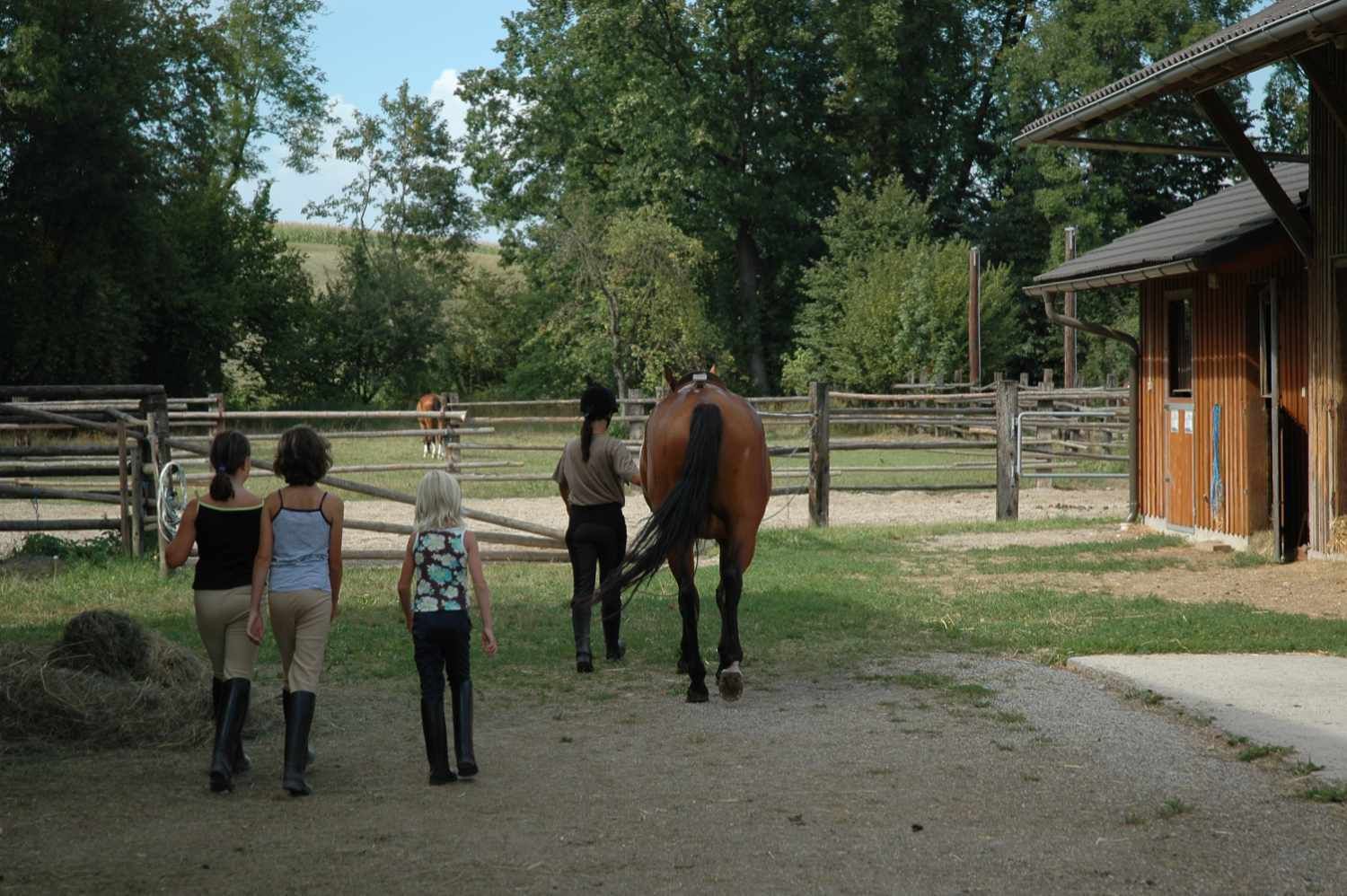 Drei Personen gehen mit einem Pferd auf einem Weg. Im Hintergrund ein Stall und Bäume.