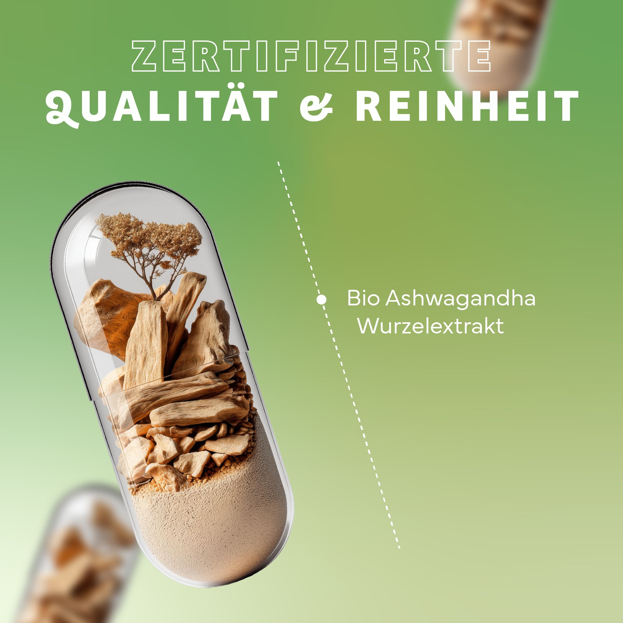 Transparente Kapsel mit Inhalt: Wurzel-Extrakt. Text: Bio Ashwagandha Wurzelextrakt. Hintergrund: hellgrün.