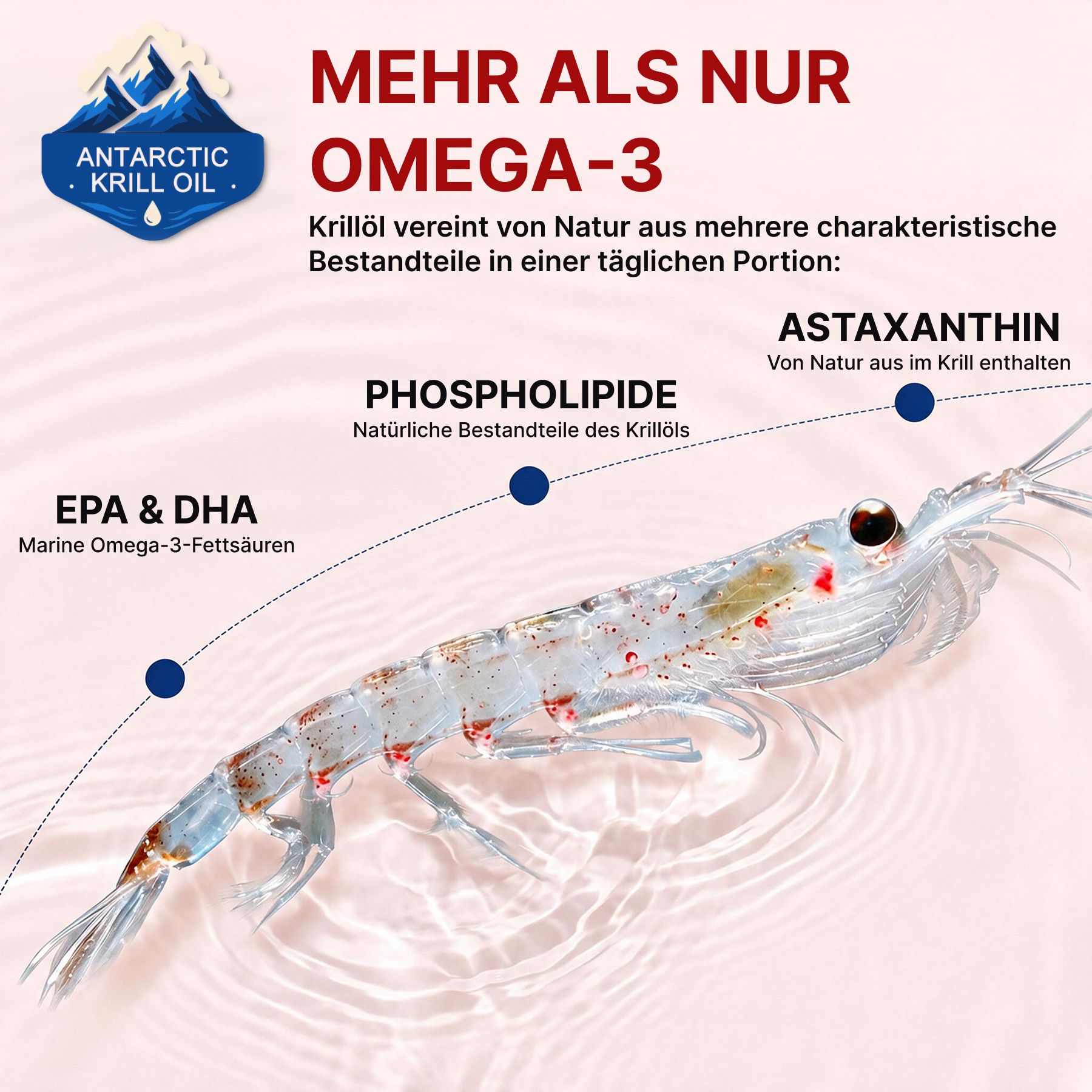 P-beauty Omega 3 Krillöl 2000mg EPA DHA Astaxanthin Phospholipide Hochdosiert Softkapseln