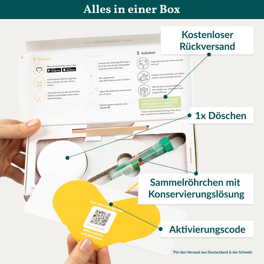 Offene Box mit Test-Zubehör: Sammelröhrchen, Aktivierungscode, 1x Döschen, Anweisungen. Kostenloser Rückversand.