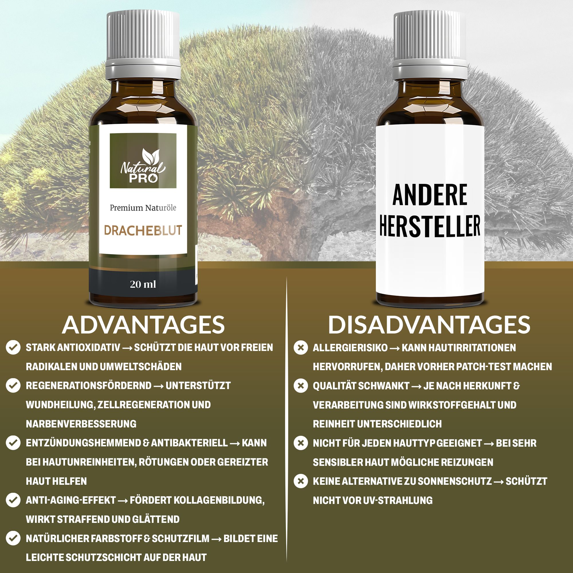 Zwei braune Glasflaschen mit weißen Deckeln. Etiketten mit Logo und Produktname Drachenblut. Text mit Vor- und Nachteilen.