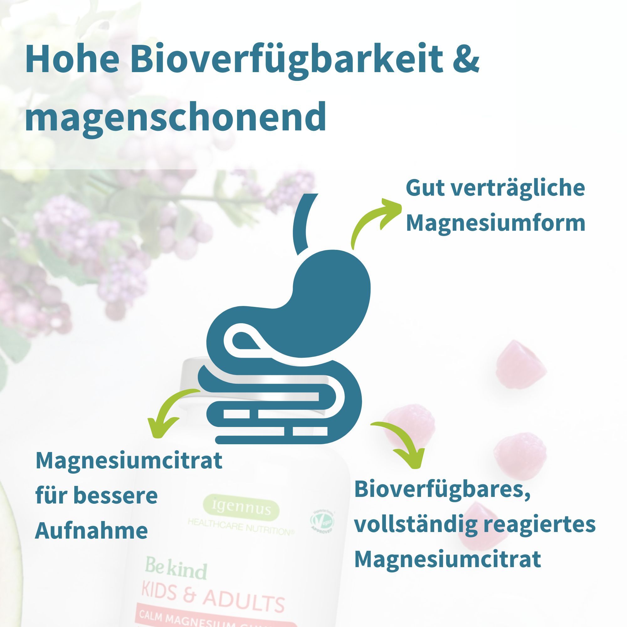 Grafik eines Magens und Darms mit Text über hohe Bioverfügbarkeit und magenschonende Magnesiumcitratform.