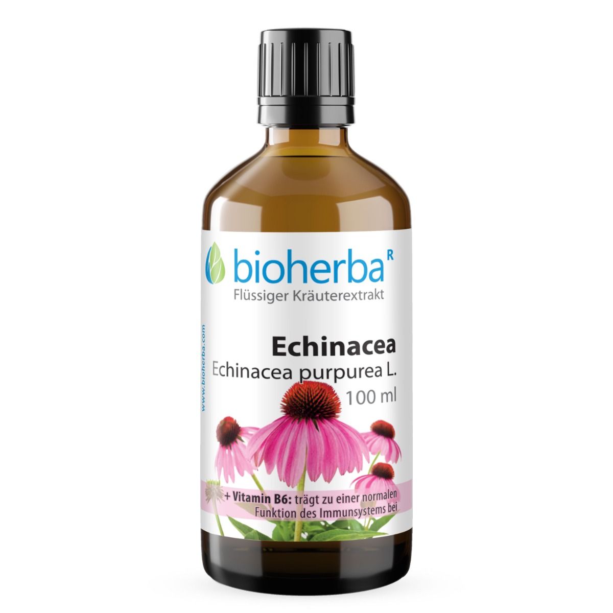 Braune Glasflasche mit schwarzem Deckel. Bioherba Echinacea, Echinacea purpurea L. Tinktur Extrakt. Enthält Vitamin B6. 100 ml.