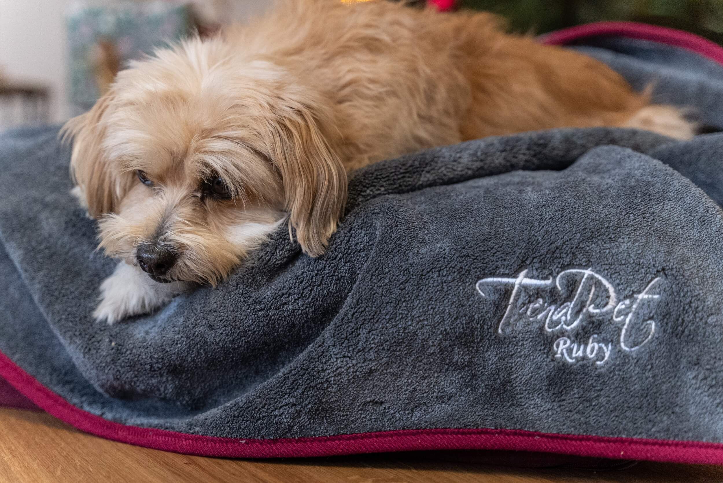 Hund liegt auf grauem Trockentuch mit roter Umrandung. TrendPet Ruby Logo.
