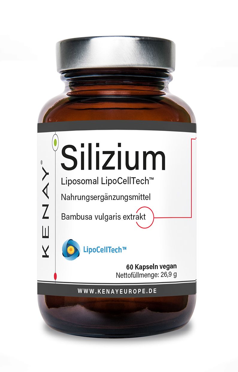 Braune Glasflasche mit Etikett. Enthält Silizium Lipocell Tech™ KENAY®, 60 Kapseln. Produktname und Logo deutlich sichtbar.