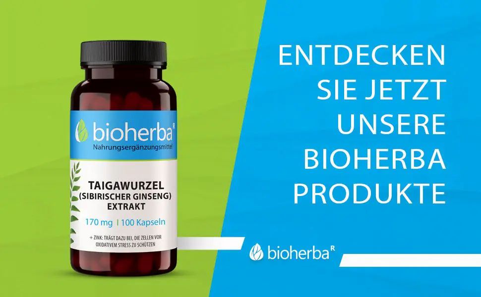 Braune Flasche mit schwarzen Deckel. Aufkleber mit Produktinformationen: Taigawurzel Extrakt, 170 mg, 100 Kapseln. Marke: Bioherba. Text: Entdecken Sie jetzt unsere Bioherba Produkte.
