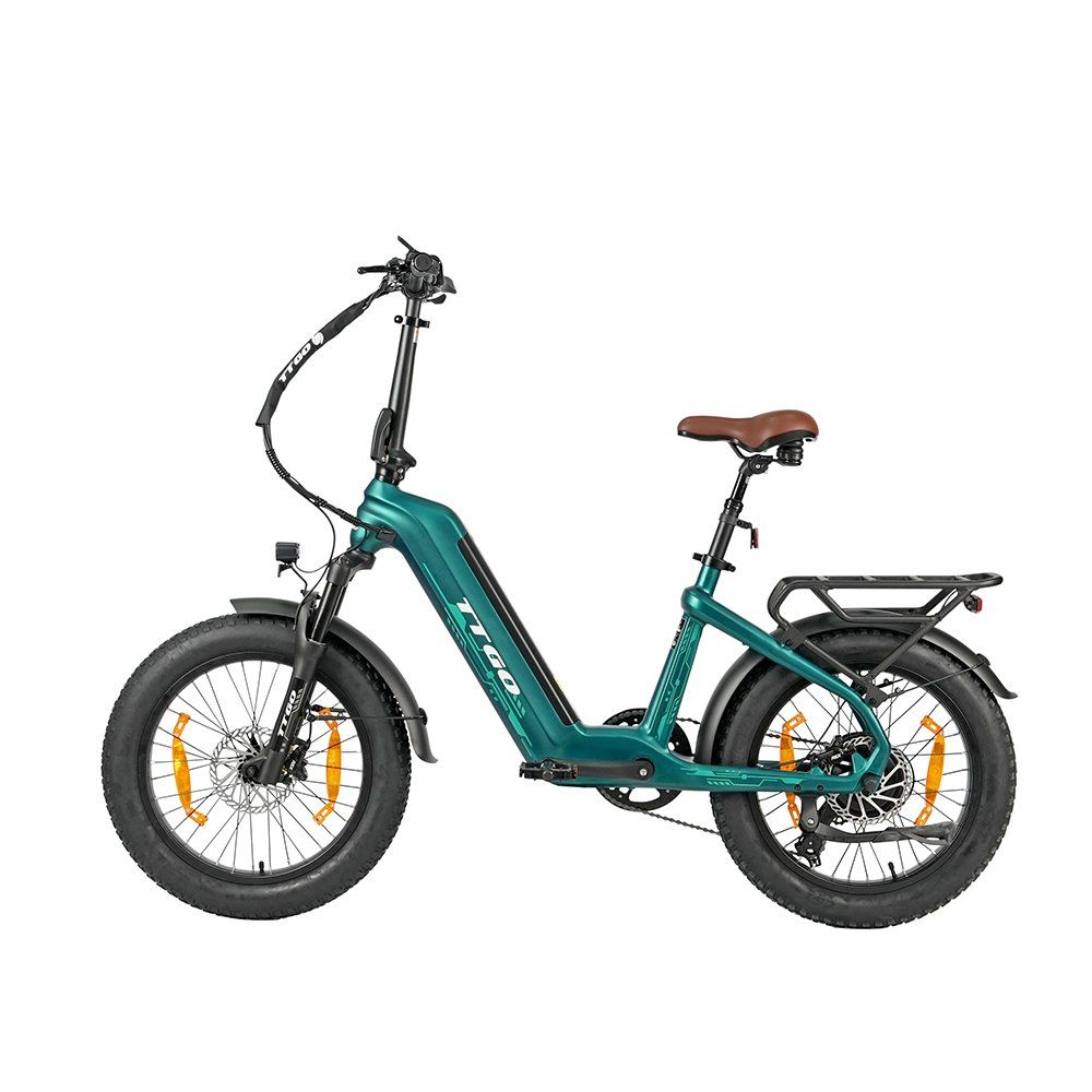 TTGO F8 E-Bike aus Carbonfaser, 48V 18Ah Akku (versteckt)