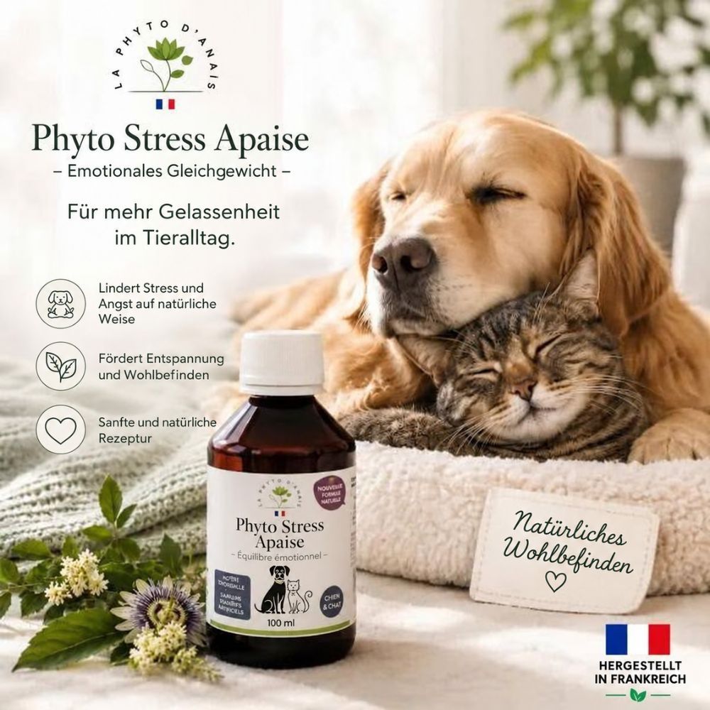 Phyto Stress Apaise Flasche mit 100ml, für Hunde und Katzen, zur emotionalen Balance.