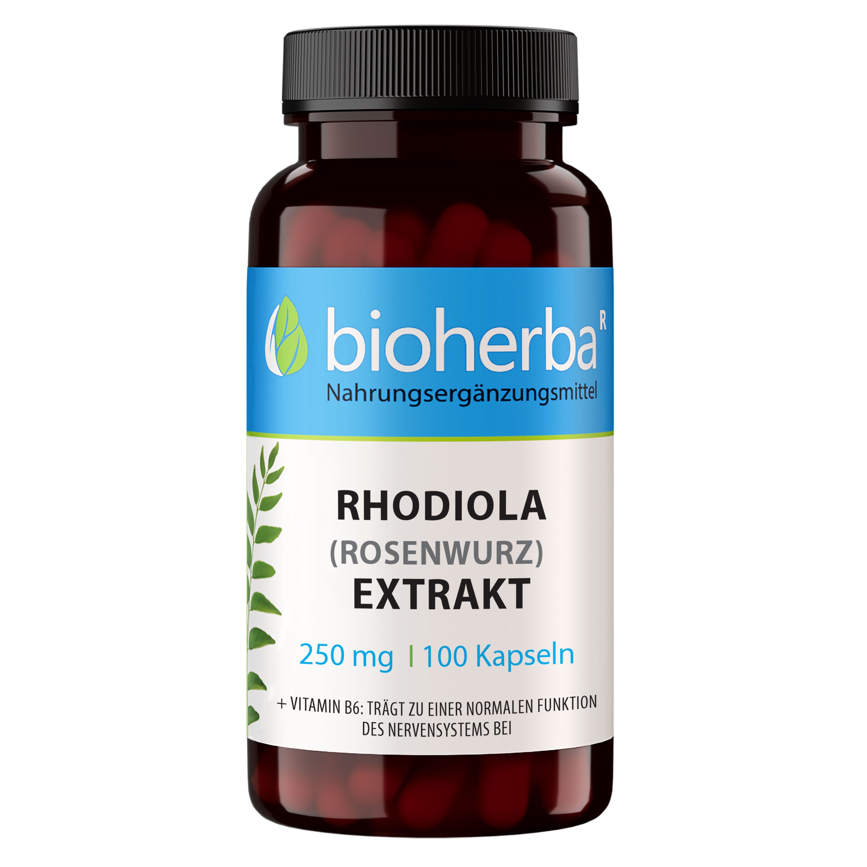 Braune Flasche mit schwarzen Deckel. Bioherba Rhodiola Extrakt Kapseln, 250 mg, 100 Kapseln. Nahrungsergänzungsmittel.