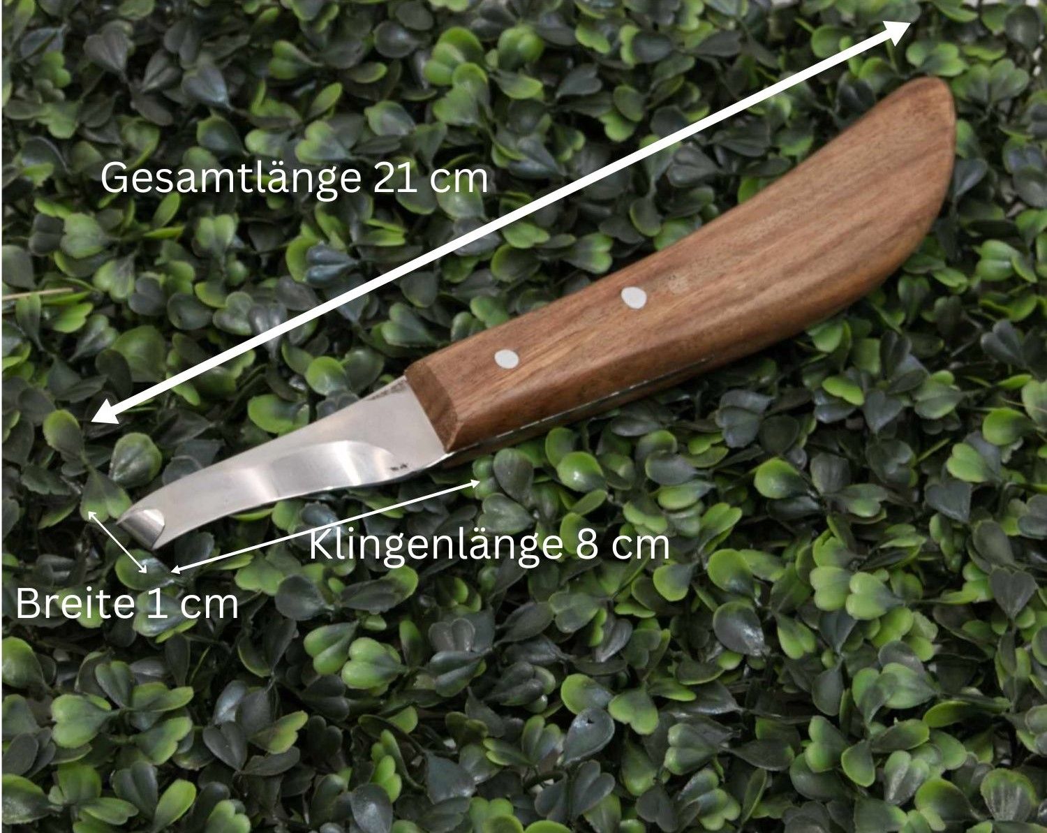 Hufmesser mit Holzgriff auf grünem Hintergrund. Gesamtlänge 21 cm, Klingenlänge 8 cm, Breite 1 cm.
